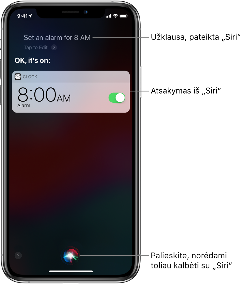 „Siri“ ekrane rodoma, kad „Siri“ buvo paprašyta „Set an alarm for 8 a.m.“ (nustatyk žadintuvą 8 valandai ryto), „Siri“ atsakė „OK, it’s on“ (gerai, nustatyta). Programos „Clock“ pranešimas rodo, kad žadintuvas nustatytas skambėti 8 val. Mygtukas ekrano centre apačioje naudojamas pokalbiui su „Siri“ tęsti.