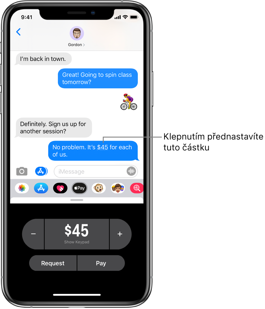 Konverzace iMessage s otevřenou aplikací Apple Pay v dolní části
