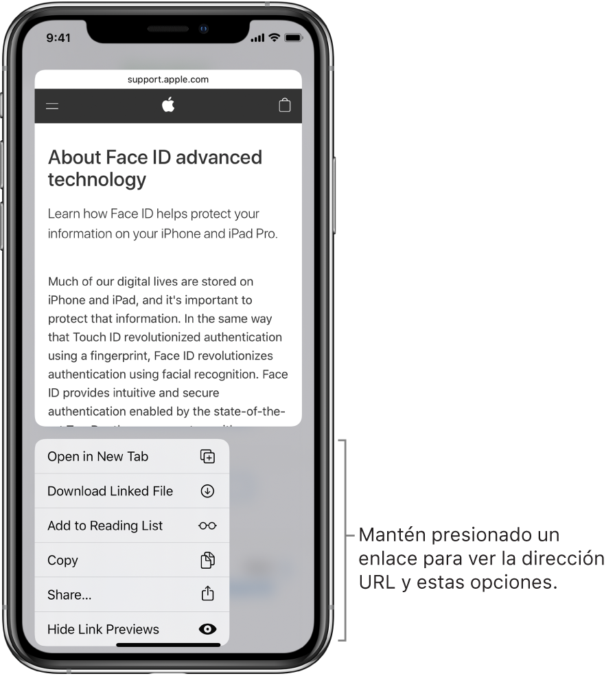 Una pantalla superpuesta mostrando una vista previa del destino de la dirección URL seguida de una lista de posibles acciones: Abrir, Agregar a lecturas, Agregar a fotos, Copiar y Compartir.