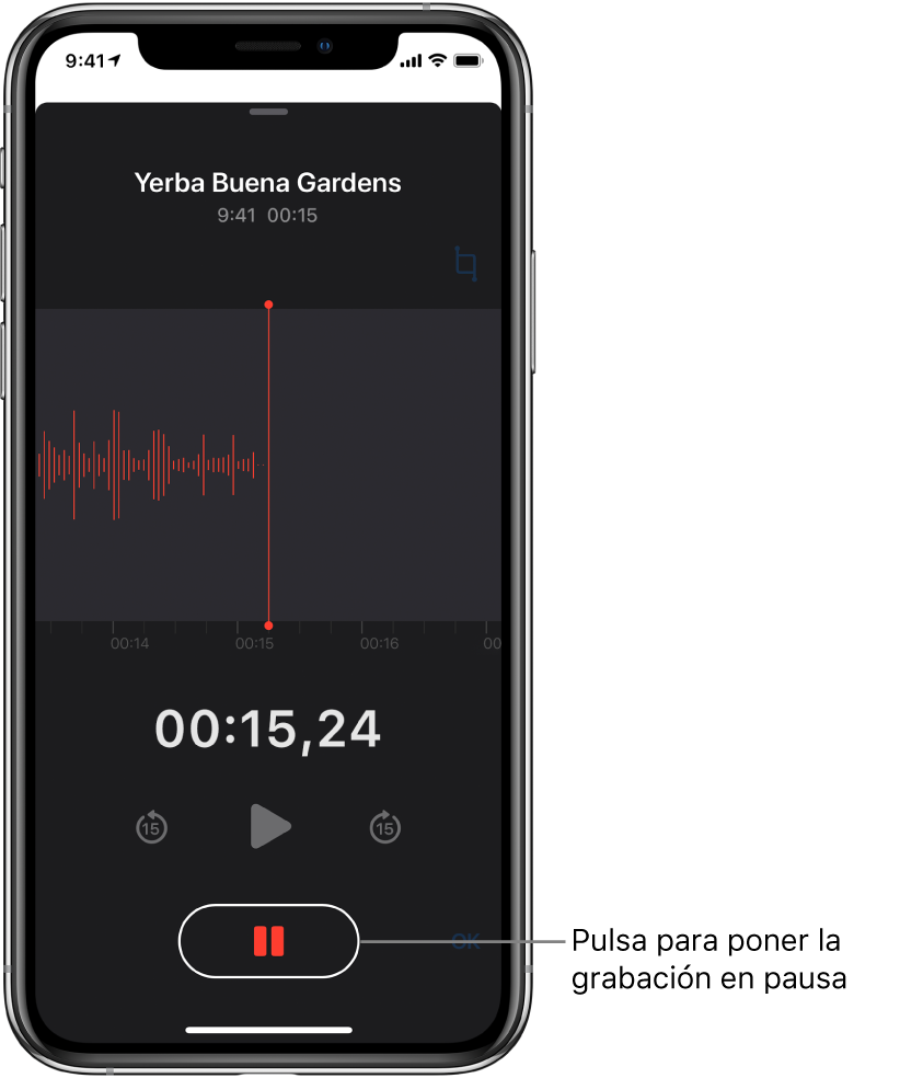 Pantalla de Notas de Voz con una grabación en proceso, con un botón Pausa activo y controles atenuados para reproducir, avanzar rápido 15 segundos y retroceder 15 segundos. La parte principal de la pantalla muestra la forma de onda de la grabación en curso, junto con el indicador de tiempo.