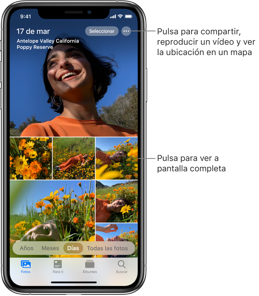 Se muestra la fototeca en la visualización Día. Una selección de miniaturas de fotos llena la pantalla. En la esquina superior izquierda de la pantalla están la fecha y la ubicación donde se han hecho las fotos. En la parte superior derecha están los botones Seleccionar y “Más opciones” para compartir fotos y ver los detalles. Debajo de las miniaturas hay opciones para ver la fototeca por Años, Meses, Días y “Todas las fotos”. Abajo están las pestañas Fotos, “Para ti”, Álbumes y Buscar.