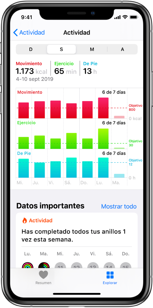Pantalla de detalles para la categoría Actividad.