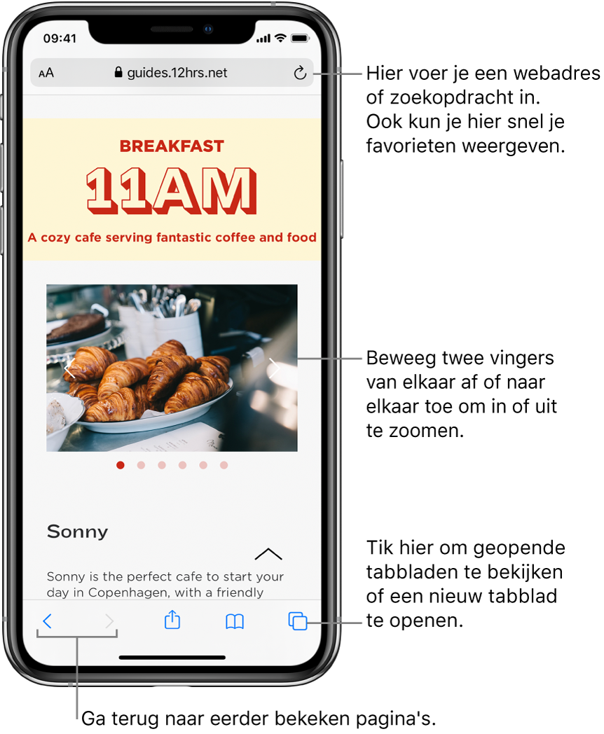 Een geopende website in Safari, met bovenin het adresveld. Onderin bevinden zich van links naar rechts de knoppen voor de vorige pagina, de volgende pagina, de deelknop, bladwijzerknop en paginaknop.