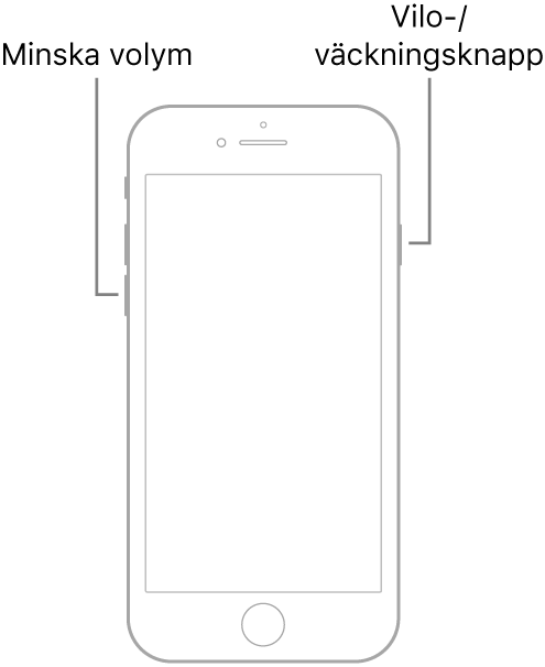 Bild på iPhone 7 med skärmen vänd uppåt. Knappen för volym ned finns på vänster sida av enheten, och på höger sida finns vilo-/väckningsknappen.