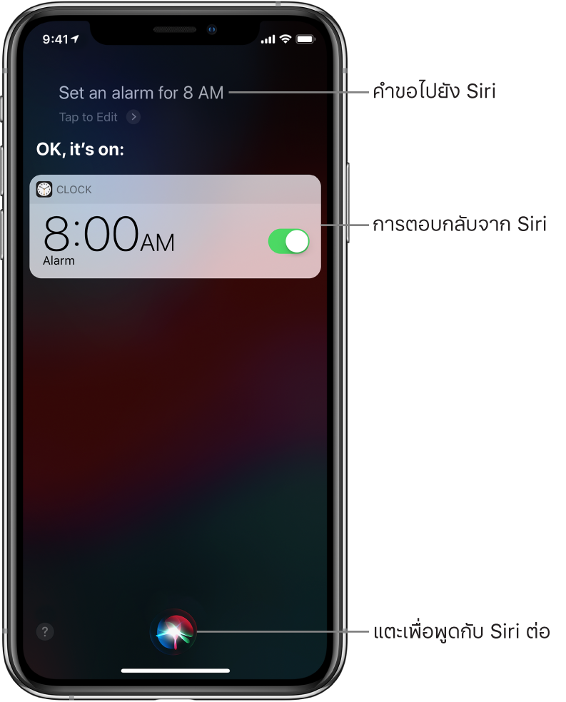 หน้าจอ Siri ที่แสดงว่า Siri ได้รับคำขอให้ “ตั้งปลุกตอน 8 โมงเช้า” และในการตอบสนอง Siri ตอบว่า “ได้เลย เปิดแล้ว” การแจ้งเตือนจากแอพนาฬิกาแสดงให้เห็นว่าการตั้งปลุกเปิดใช้แล้วสำหรับเวลา 8.00 น. ปุ่มที่อยู่กึ่งกลางด้านล่างสุดของหน้าจอจะใช้เพื่อพูดกับ Siri ต่อ