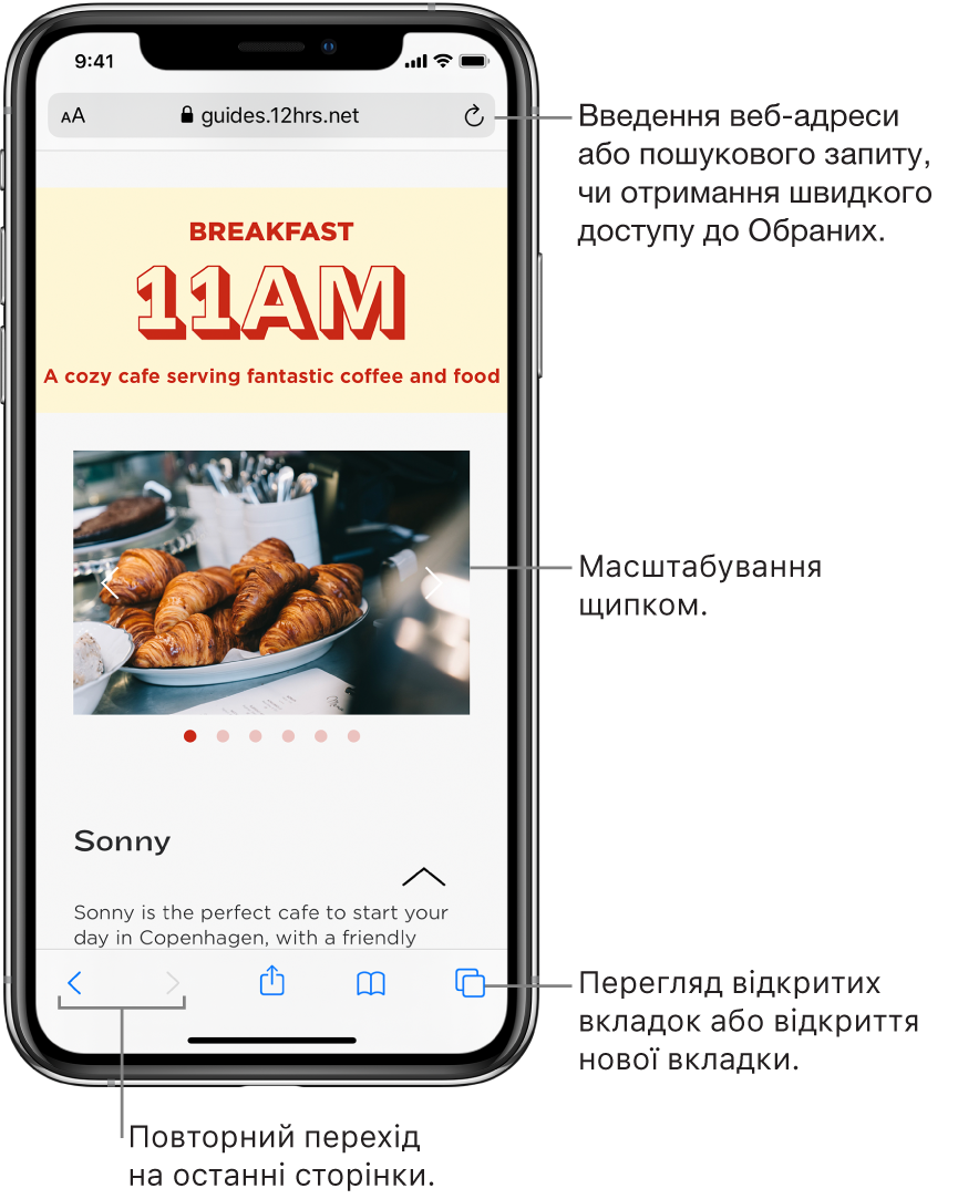 Веб-сайт відкрито у вікні Safari, зверху знаходиться поле адреси. Унизу зліва направо розміщено кнопки «Назад», «Вперед», «Оприлюднити», «Закладки» та «Сторінки».