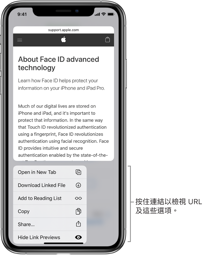覆疊顯示目標 URL 預覽,然後是可以執行的動作列表:開啟、加至閱讀列表,加至「相片」、複製和分享。