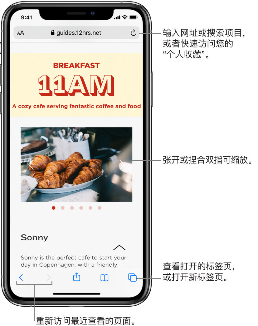 Safari 浏览器窗口中打开一个网站,地址栏显示在顶部。底部从左到右是“返回”、“向前”、“共享”、“书签”和“页面”按钮。