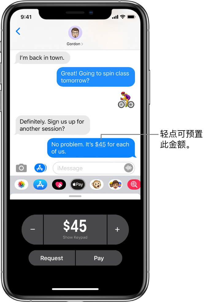 iMessage 对话,底部是打开的 Apple Pay App。