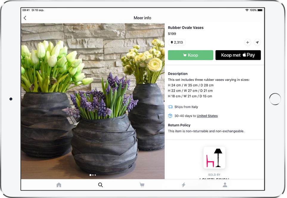 Een app met een productpagina met de knop 'Koop met Apple Pay'.