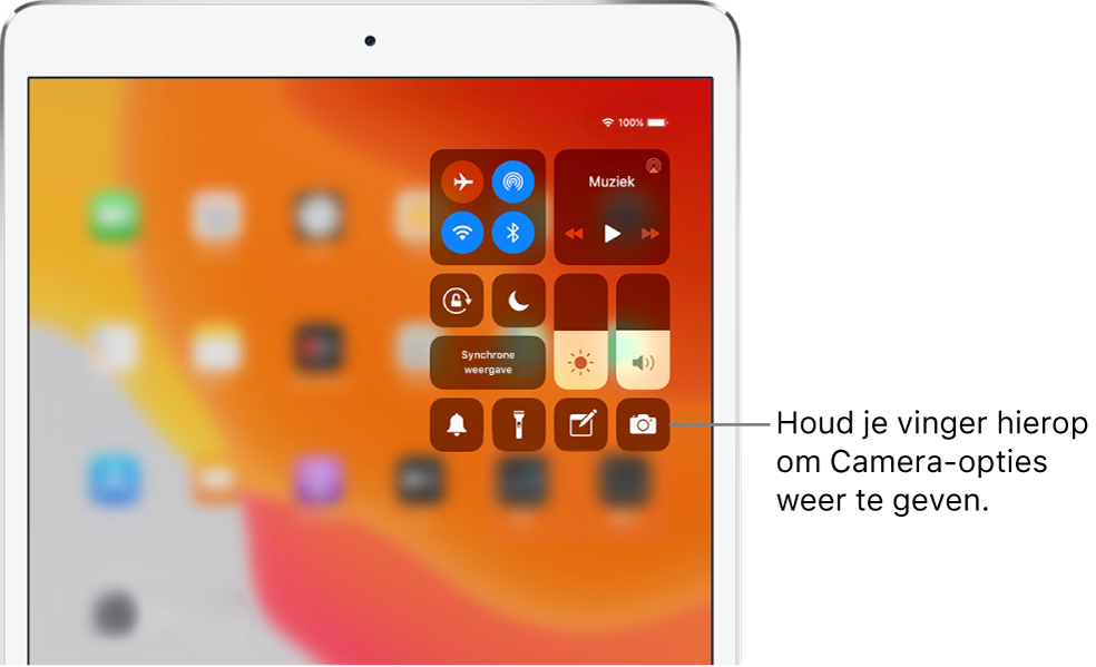 Regelaars voor de vliegtuigmodus, mobiele data, wifi en Bluetooth in de groep linksboven in het bedieningspaneel voor Wi-Fi + Cellular-modellen. In een bijschrift bij de Camera-regelaar staat dat je meer Camera-opties kunt zien door je vinger op het Camera-symbool (rechtsonder) te houden.