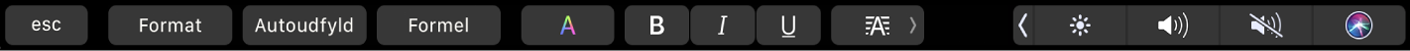 Touch Bar til Numbers med knapper til Format, Autoudfyld eller Formel. Der er også knapper til tekstformatering for farve, fed, kursiv, understreget og justering.