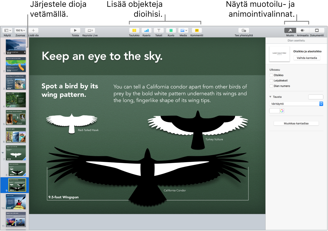 Keynote-ikkuna, jossa näkyy, miten järjestellä uudelleen dioja, ja painikkeita objektien lisäämiseen dioille sekä muotoilu- ja animaatiovalintoja.