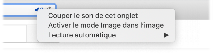 Le sous-menu de l’icône Audio avec les éléments « Couper le son de cet onglet », « Entrer dans Image dans l’image » et « Lecture automatique ».