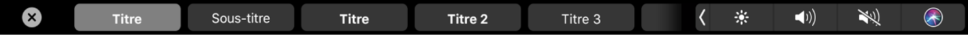 Touch Bar de Pages affichant des styles de mise en forme de paragraphe, notamment Titre, Sous-section et Légende.