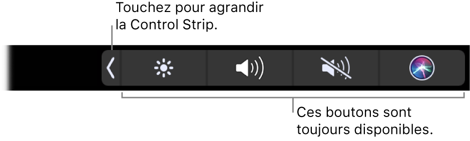 Un écran partiel de la Touch Bar par défaut, affichant la Control Strip réduite. Touchez le bouton de développement pour afficher toute la <NoBreak change_bar="mark">Control Strip</NoBreak>.