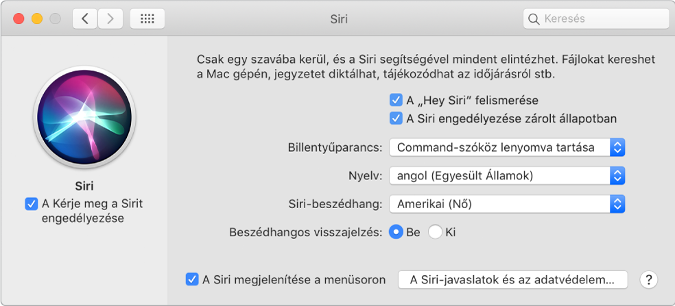 A Siri-beállítások ablaka, amelynek bal oldalán be van jelölve A Siri megkérdezésének engedélyezése jelölőnégyzet, jobb oldalán pedig számos különböző beállítás található a Siri testreszabásához, beleértve a „Hey Siri figyelése” beállítást.