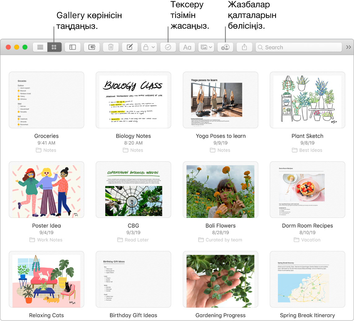 Сhoose a gallery view түймесін, Checklist түймесін және Share folder түймесін көрсетіп тұрған Notes терезесі.