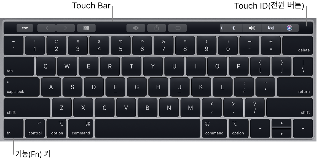 Touch Bar, Touch ID(전원 버튼) 및 키보드 왼쪽 아래에 있는 Fn 기능 키를 보여주는 MacBook Pro 키보드.