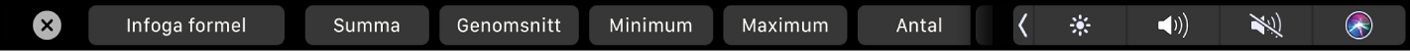 Touch Bar som visar formelknapparna. Bland annat visas summan, medelvärdet, lägsta värdet, högsta värdet och antalet.
