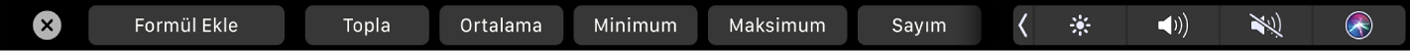 Formül düğmelerinin görüntülendiği Numbers Touch Bar’ı. Bunların arasında toplam, ortalama, minimum, maksimum ve sayım bulunur.