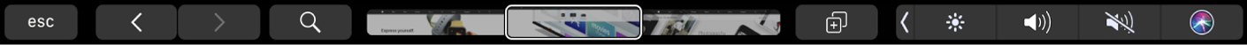 Смуга Touch Bar для Safari зі стрілками для переходу назад і вперед, кнопкою пошуку, повзунком вкладок, а також кнопкою «Додати закладку».