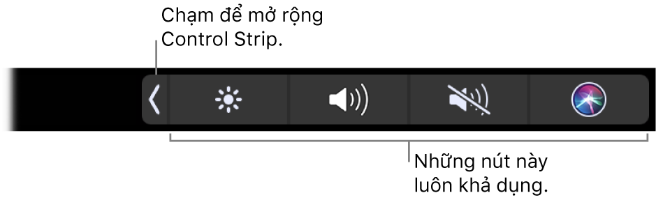 Một phần màn hình của Touch Bar mặc định, đang hiển thị Control Strip được nén. Chạm nút mở rộng để hiển thị Control Strip đầy đủ.
