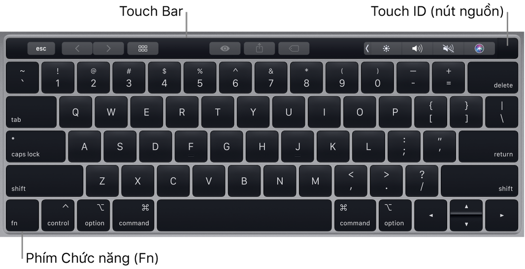 Bàn phím MacBook Pro đang hiển thị Touch Bar, Touch ID (nút nguồn) và phím chức năng Fn ở góc dưới bên trái.