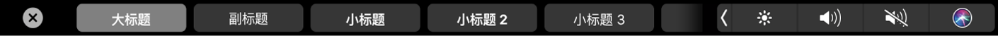 显示段落格式样式（包括大标题、小标题和说明）的 Pages 文稿触控栏。