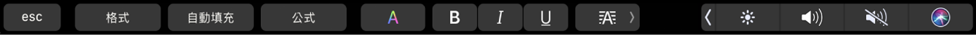 Numbers 觸控列帶有下列按鈕：格式、自動填充和公式按鈕。也包含顏色、粗體、斜體、底線和對齊等文字格式按鈕。