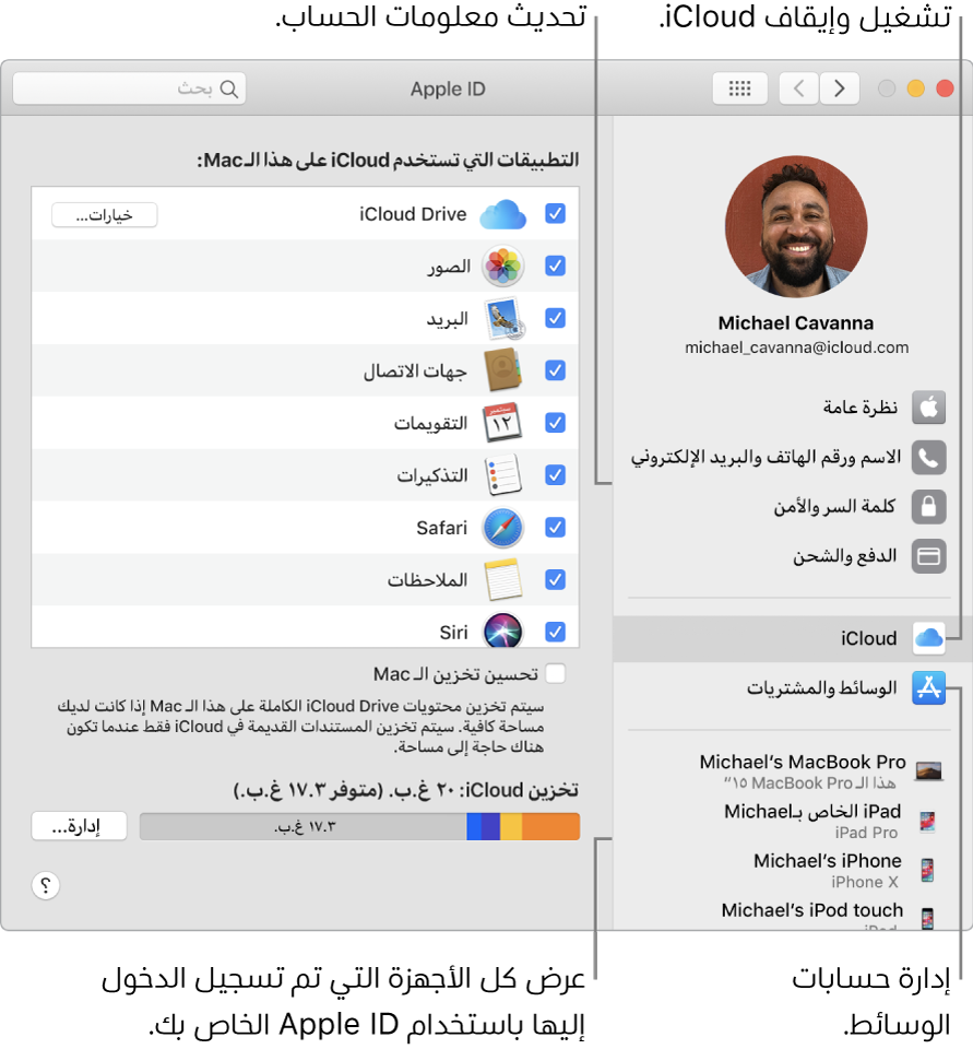 جزء Apple ID في تفضيلات النظام. انقر على عنصر في الشريط الجانبي لتحديث معلومات حسابك وتشغيل iCloud أو إيقافه وإدارة حسابات الوسائط وعرض جميع الأجهزة التي سجلت الدخول عليها باستخدام Apple ID.