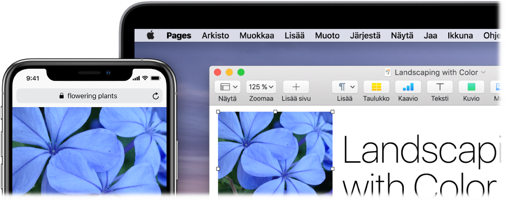 iPhone, jossa näkyy kuva, ja Mac, jossa kuva sijoitetaan Pages-dokumenttiin.