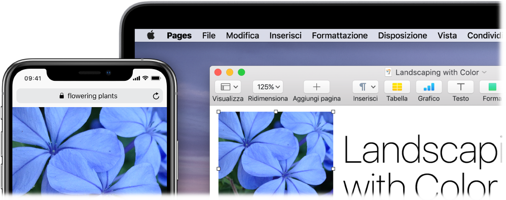 iPhone che mostra una foto, accanto a un Mac che mostra la stessa foto incollata in un documento di Pages.