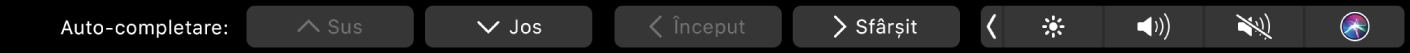 Touch Bar pentru Numbers cu butoanele Auto-completare afișate. Acestea includ: sus, jos, la început și la sfârșit.