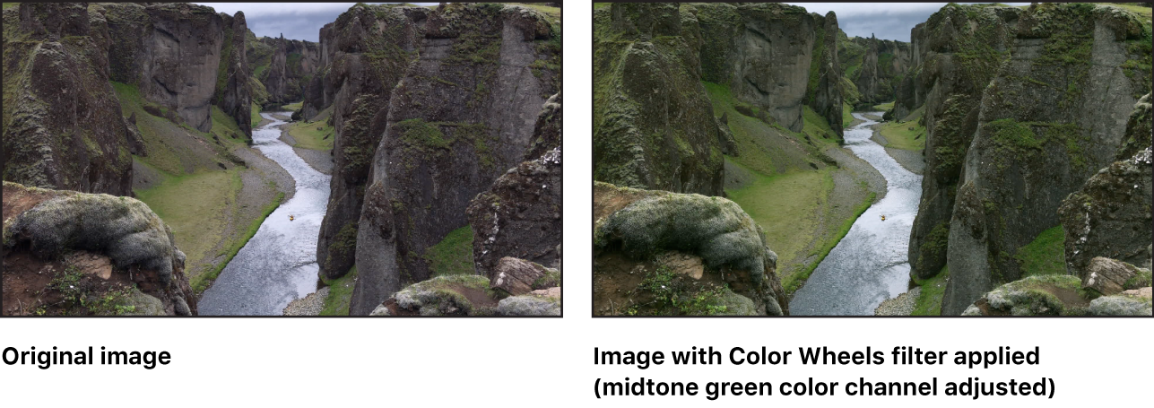 「カラーホイール」フィルタの効果を示すキャンバス（中間色調の緑のカラーチャンネルが調整されています）