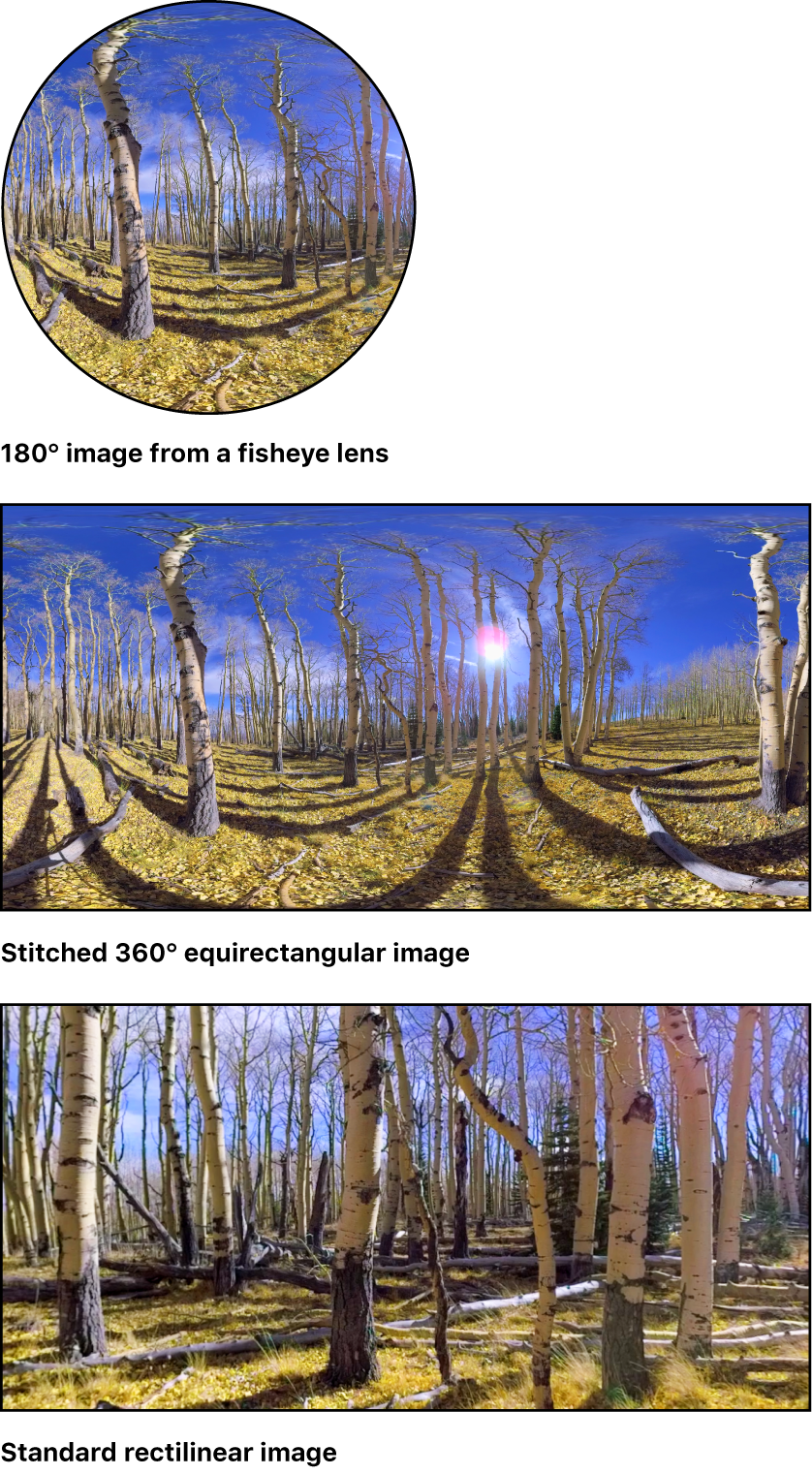 1つの魚眼イメージ、ステッチされた360°イメージ、および標準の球面収差補正イメージ