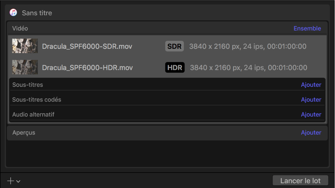 Zone du lot affichant les informations de sortie pour de la vidéo SDR et de la vidéo HDR.