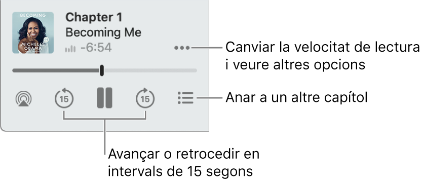 El reproductor d’audiollibres de l’Apple Books, amb el botó “Més opcions” (a prop de la cantonada superior dreta), el botó “Taula de contingut” (a prop de la cantonada inferior dreta) i els botons Avançar i Retrocedir (a prop de la part inferior esquerra i dreta).