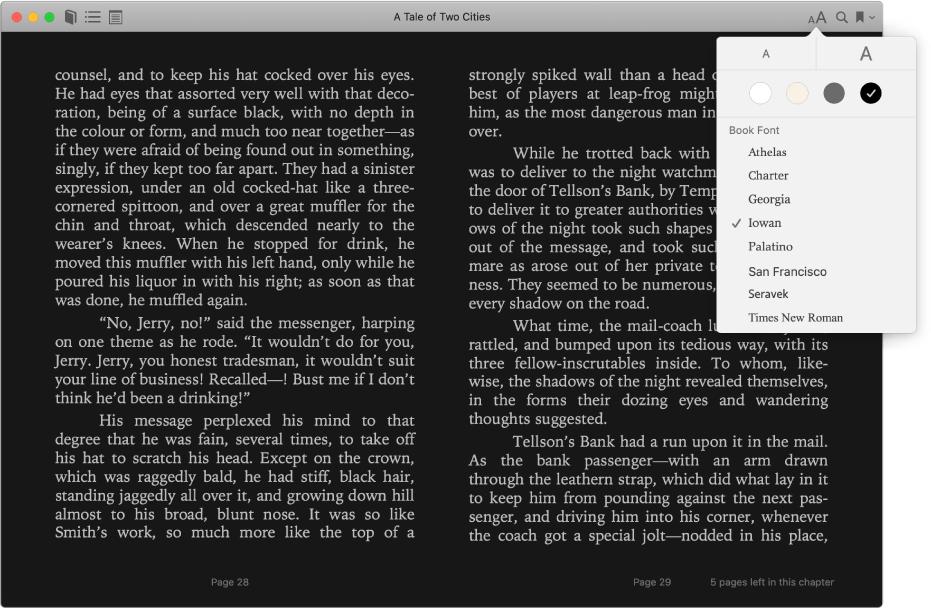 A book with a customised appearance and the Appearance menu showing the selected text size, background colour and font.