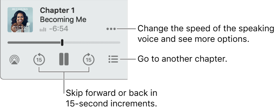 The audiobook player in Apple Books, showing the More Options button (near the top-right corner), the Table of Contents button (near the bottom-right corner) and the Skip Forward and Skip Back buttons (near the lower left and right).