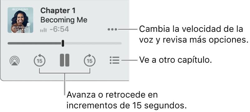 El reproductor de audiolibros de Apple Books, mostrando el botón “Más opciones” (cerca de la esquina superior derecha), el botón de la Tabla de contenido (cerca de la esquina inferior derecha) y los botones para Avanzar y Retroceder (cerca de la parte inferior izquierda y derecha).