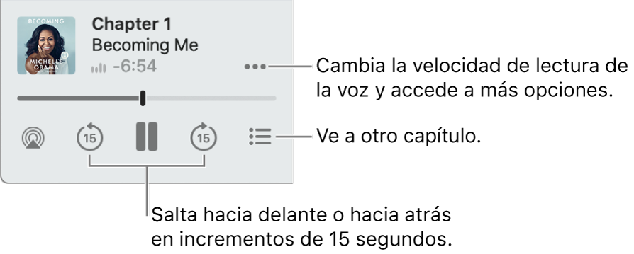 El reproductor de audiolibros en Apple Books, con el botón “Más opciones” (cerca de la esquina superior derecha), el botón “Tabla de contenido” (cerca de la esquina inferior derecha) y los botones Avanzar y Retroceder (cerca de la parte inferior izquierda y derecha).