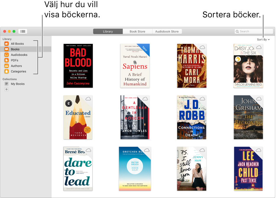 En samling böcker och ljudböcker i ett bibliotek.