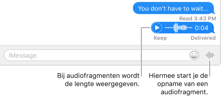 Een gesprek in het Berichten-venster, met de knop 'Verstuur gesproken bericht' naast het tekstveld onder in het venster.
