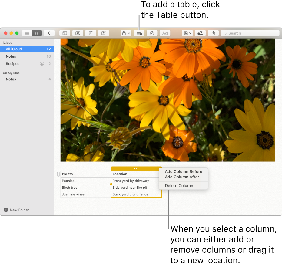 The Notes window showing the Table button — click it to add a table. Within the note content, a table column is selected so you can either add or remove columns or drag it to a new location.