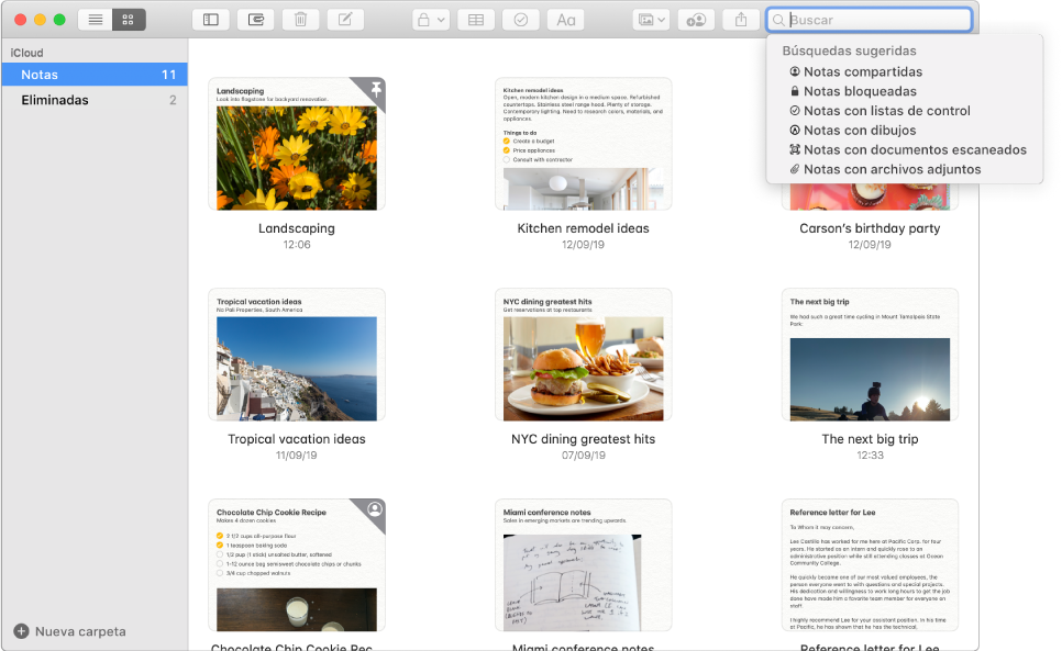 La visualización como galería de Notas, mostrando el contenido de cada nota en una miniatura. Las búsquedas sugeridas aparecen en la esquina superior derecha, por ejemplo, notas bloqueadas y notas con archivos adjuntos.