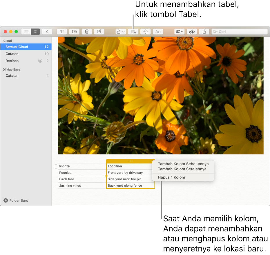 Jendela Catatan menampilkan tombol Tabel—klik jendela untuk menambahkan tabel. Dalam konten catatan, kolom tabel dipilih agar Anda dapat menambahkan atau menghapus kolom atau menyeretnya ke lokasi baru.