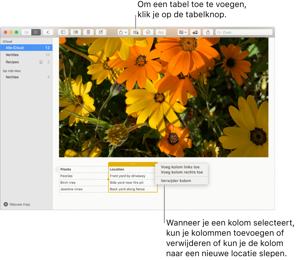 Het Notities-venster met de tabelknop. Klik daarop om een tabel toe te voegen. In de notitie wordt een tabelkolom geselecteerd zodat je kolommen kunt toevoegen of verwijderen of de kolom naar een nieuwe locatie kunt slepen.