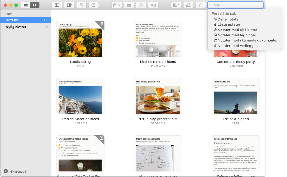 Notater i gallerivisning – som viser innholdet i hvert notat i et miniatyrbilde. Søkeforslag vises øverst til høyre, for eksempel låste notater og notater med vedlegg.