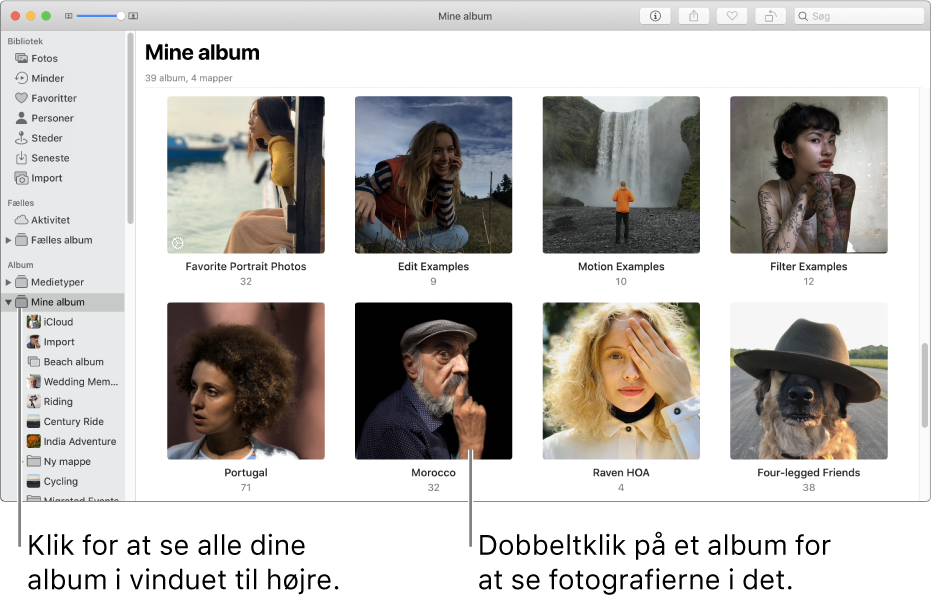 Vinduet Fotos med Mine album valgt i indholdsoversigten og de album, du har oprettet, vist i vinduet til højre.